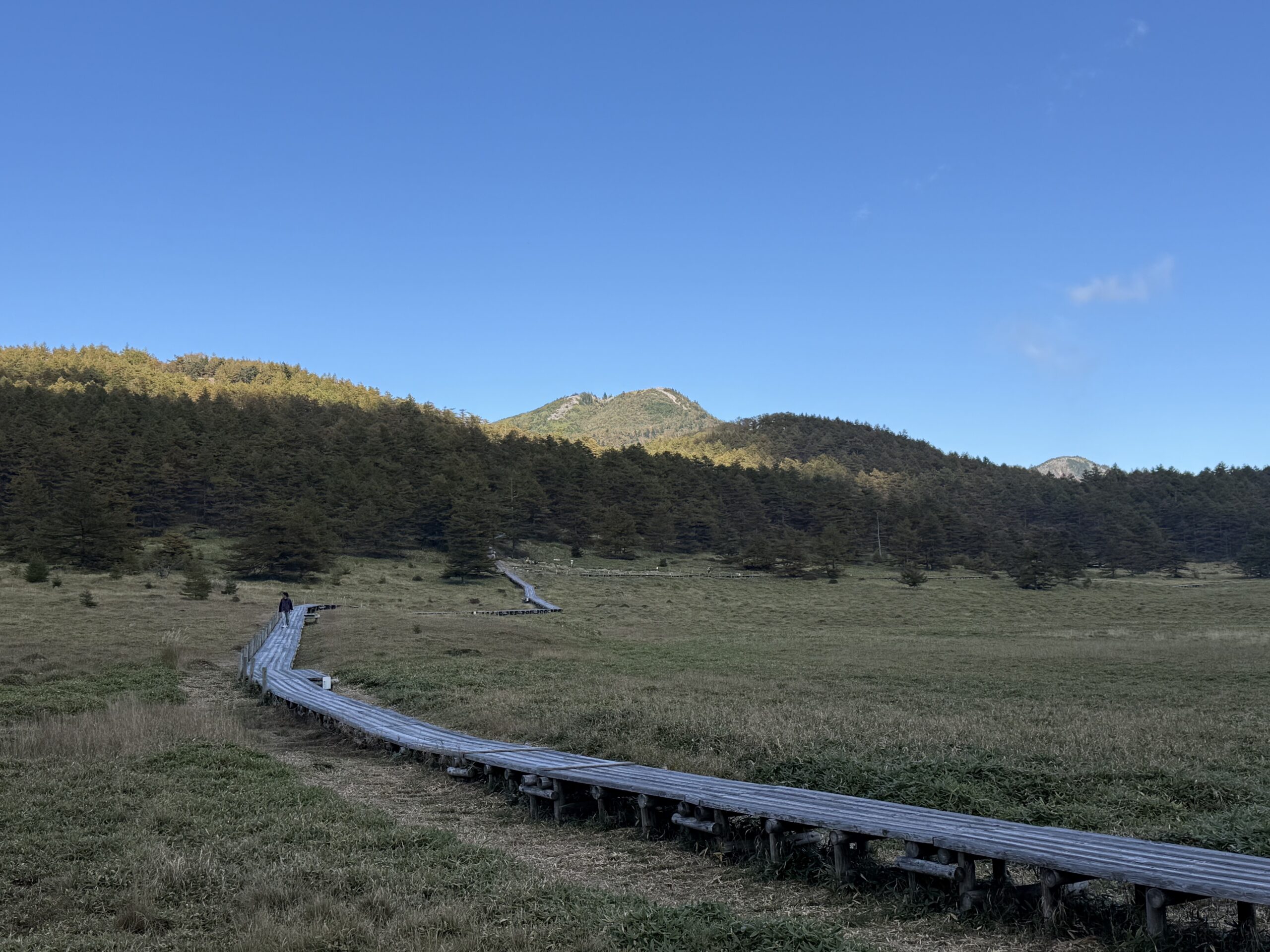 池の平湿原